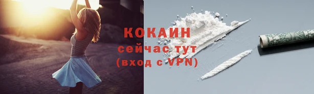 ГАЛЛЮЦИНОГЕННЫЕ ГРИБЫ Михайловск