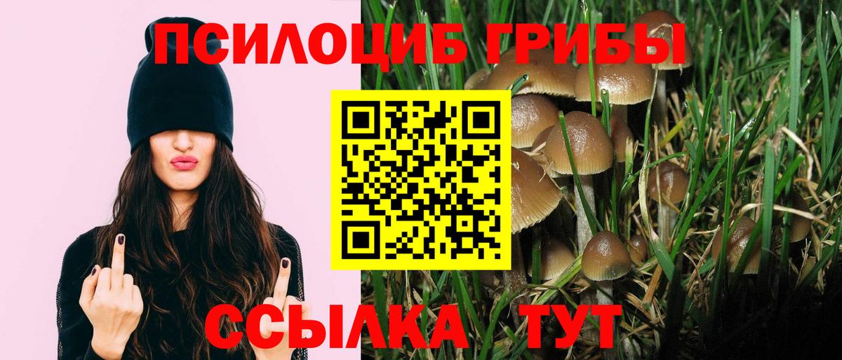 Галлюциногенные грибы Magic Shrooms Балашиха