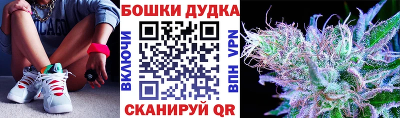 Бошки Шишки ГИДРОПОН  Балашиха 